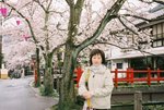 城崎溫泉