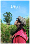 pion2
