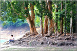 PICT0024