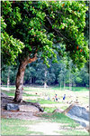 PICT0059