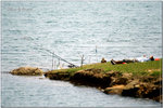 PICT0095