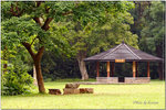 PICT0141
