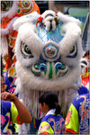 PICT0008