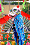 PICT0126