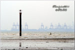 PICT0006