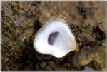 PICT0008