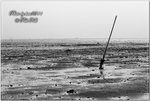 PICT0033