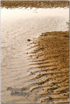 PICT0041