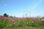福岡-海中之道海濱公園