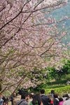 天元宮