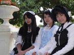 066_rLv5khn43lzq(by cosplayer)