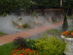 DSC04031