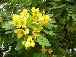 DSC00377