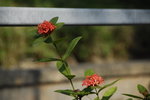 _DSC0636