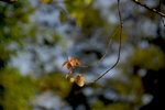 _DSC06522