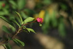 _DSC0674