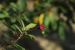 _DSC0675