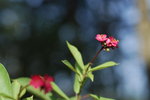 _DSC0681