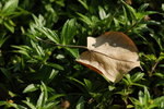 _DSC0683