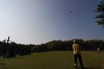 _DSC0713