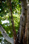 _DSC07532