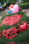 DSCF2473