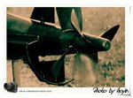 _DSC02762