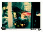 _DSC02992