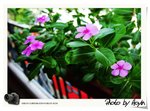 _DSC08192