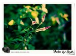 _DSC08722