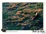 _DSC08892