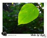 DSCF1085