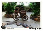 DSCF1478