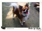 DSCF1486