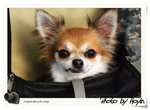 DSCF1517