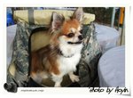 DSCF1523