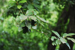 _DSC0405