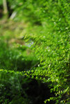 _DSC0420