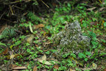 _DSC0461