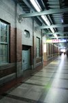 IMG_6351