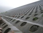 P1010668