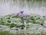 P1010110