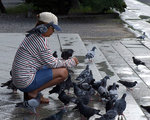 和平