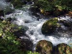 奧入瀨溪流