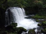 奧入瀨溪流