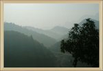 DSC02651