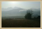 DSC02652