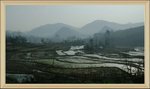 DSC02655