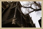 DSC02781