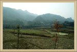 DSC03036